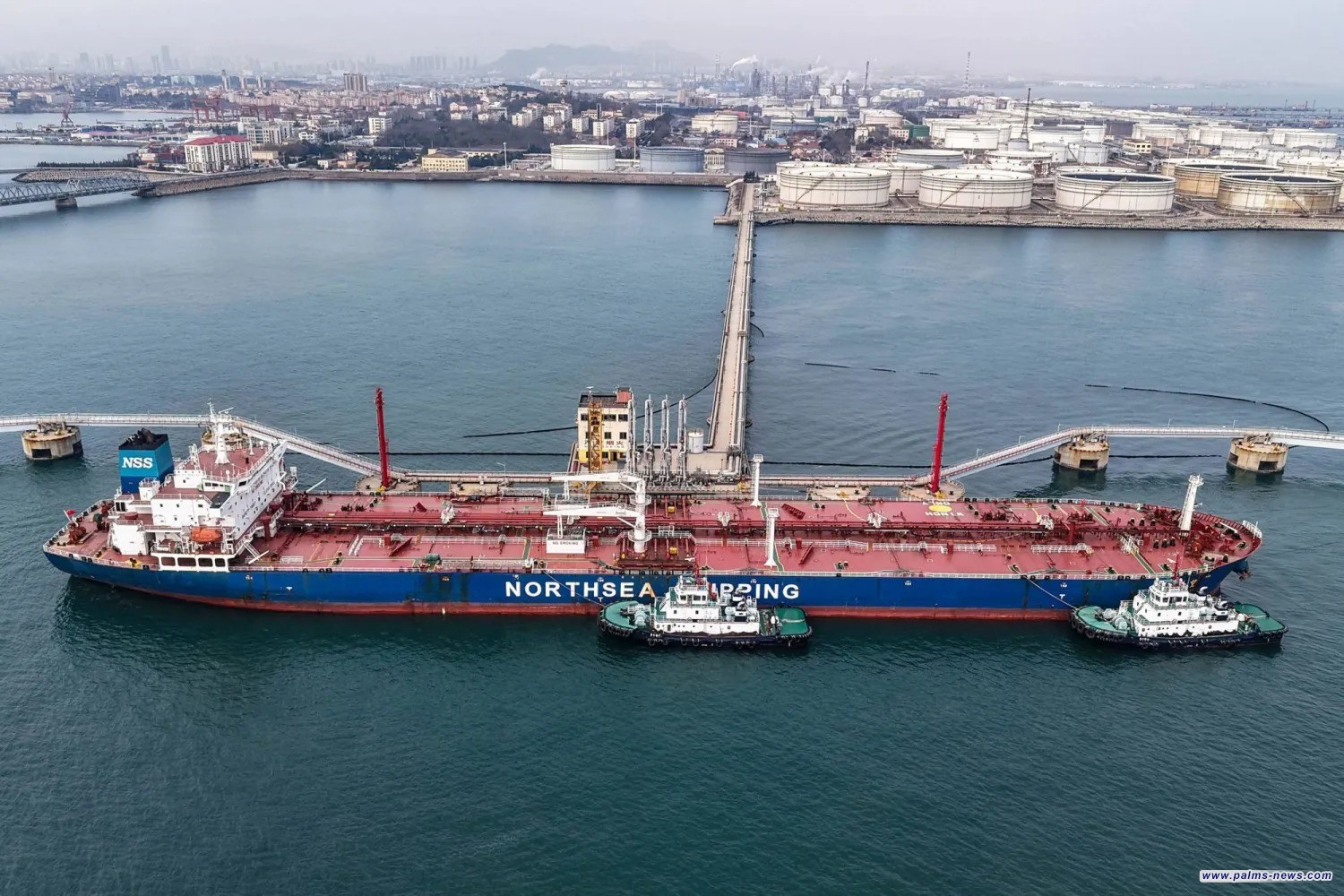 خطة «وكالة الطاقة».. هل تنجح براميل «الاحتياطي» في تهدئة أسعار النفط؟